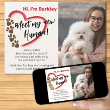 Nieuwe huisdier adoptie