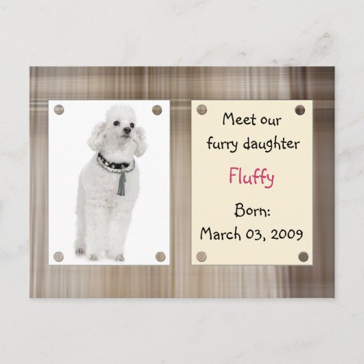 Nieuwe huisdieren ontmoeten aankondigingskaart (Voorkant)