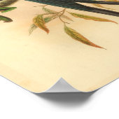 Nieuwe Ierse Drongo Blue  Cat Bird Print (Hoek)