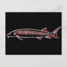 Nieuwe Inheemse - Witte Sturgeon