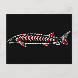 Nieuwe Inheemse - Witte Sturgeon Briefkaart