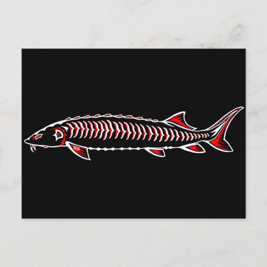 Nieuwe Inheemse - Witte Sturgeon Briefkaart (Voorkant)