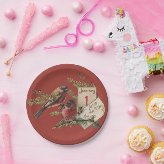  nieuwe jaarvogels papieren bordje (Feest)