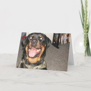 nieuwe jaren 002 feestdagen kaart