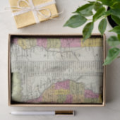 Nieuwe kaart van Illinois Tissuepapier (Geschenk)