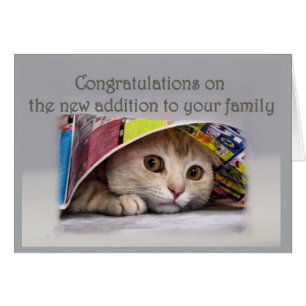 Nieuwe Kat-aanvulling op familie