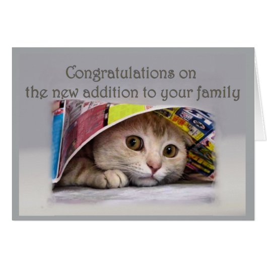 Nieuwe Kat-aanvulling op familie (Voorkant Horizontaal)