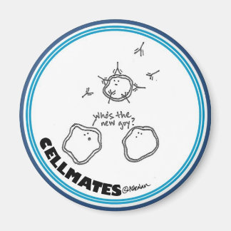 Nieuwe kerel magneet