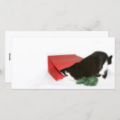 Nieuwe-Kerstkat Feestdagenkaart (Voorkant / Achterkant)