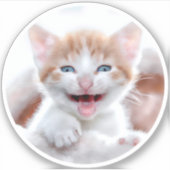 Nieuwe Kitten Circle Shape Foto Sticker (Voorkant)