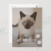 Nieuwe Kitten of Cat Aankondiging Kaart (Voorkant / Achterkant)