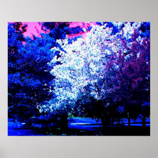 Nieuwe kleuren van de lente poster