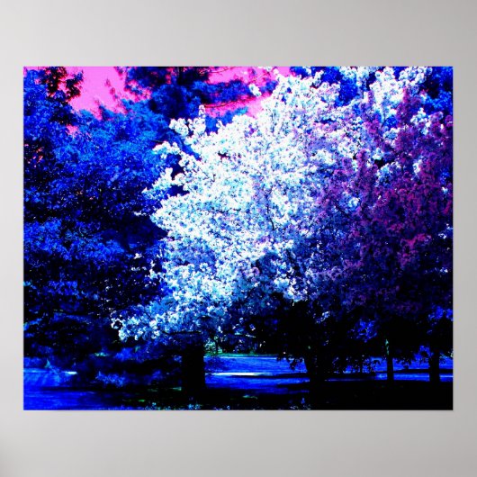 Nieuwe kleuren van de lente poster (Voorkant)