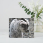 Nieuwe lening briefkaart (Staand voorkant)