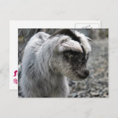 Nieuwe lening briefkaart (Voorkant / Achterkant)