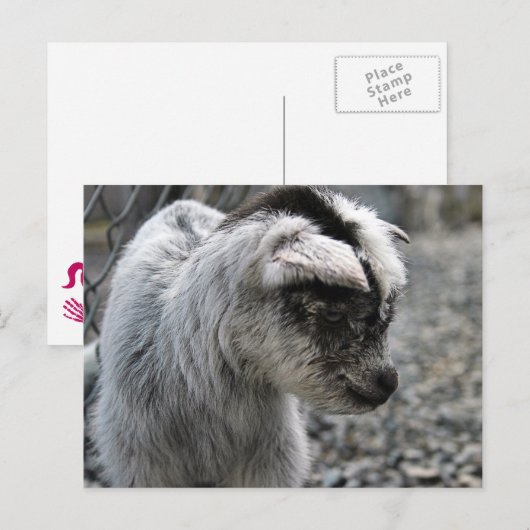 Nieuwe lening briefkaart (Voorkant / Achterkant)