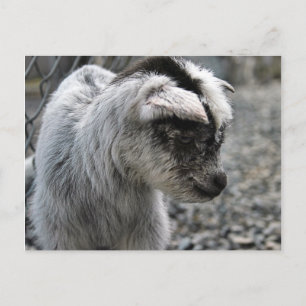 Nieuwe lening briefkaart