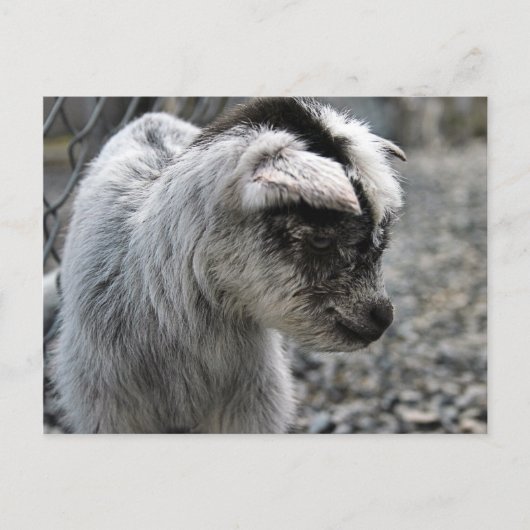 Nieuwe lening briefkaart (Voorkant)