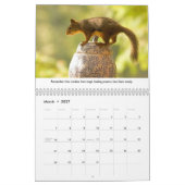 Nieuwe levensles Funny Squirrel Calendar Kalender (Mar 2027)