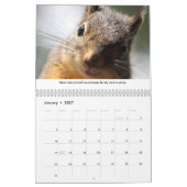 Nieuwe levensles Funny Squirrel Calendar Kalender (Jan 2027)