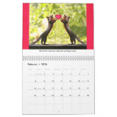 Nieuwe levenslessen van Squiggy de Squirrel Kalender (Feb 2026)
