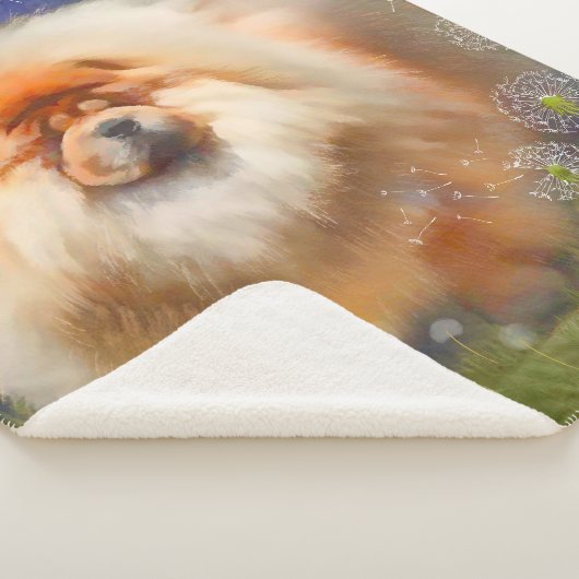 Nieuwe link naar de grote deken van Nava (3/4)