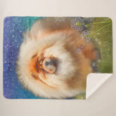 Nieuwe link naar de grote deken van Nava (Voorkant (horizontaal))