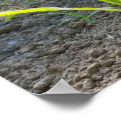 nieuwe maïs poster (Hoek)