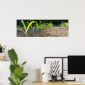 nieuwe maïs poster (Thuiskantoor)