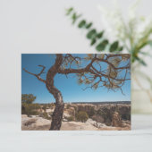 Nieuwe Mexicaanse landschapfoto-kaart (Staand voorkant)