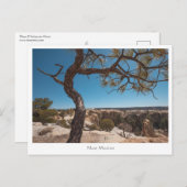 Nieuwe Mexicaanse landschapsfoto Briefkaart (Voorkant / Achterkant)