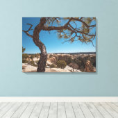 Nieuwe Mexicaanse landschapsfoto Canvas Afdruk (Insitu (Houten vloer))