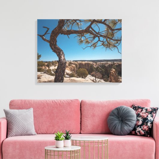 Nieuwe Mexicaanse landschapsfoto Canvas Afdruk (Insitu (Woonkamer))