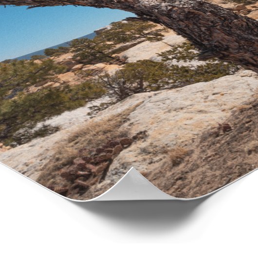 Nieuwe Mexicaanse landschapsfoto Poster (Hoek)