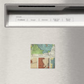 Nieuwe Mexico en Colorade Magneet (Insitu (Vaatwasser))
