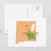 Nieuwe Mexico-staat Briefkaart (Voorkant / Achterkant)