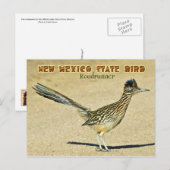 Nieuwe Mexico State Bird: Roadrunner Briefkaart (Voorkant / Achterkant)