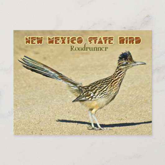 Nieuwe Mexico State Bird: Roadrunner Briefkaart (Voorkant)