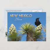 Nieuwe Mexico State Flower: Yucca Flower Briefkaart (Voorkant / Achterkant)