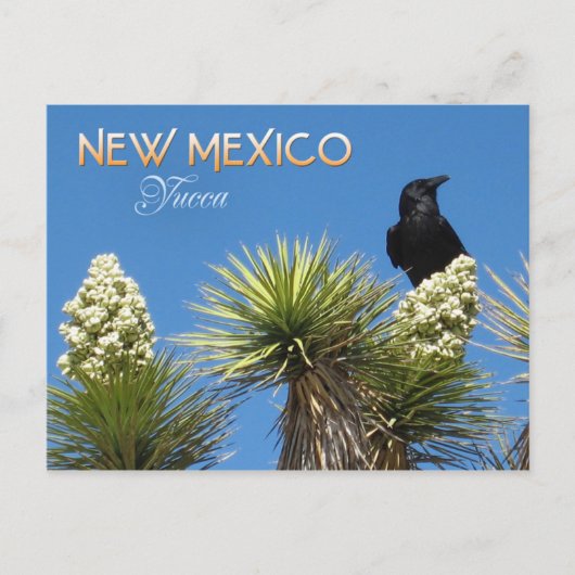 Nieuwe Mexico State Flower: Yucca Flower Briefkaart (Voorkant)