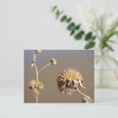 Nieuwe Mexico Winter Blooms Briefkaart (Staand voorkant)