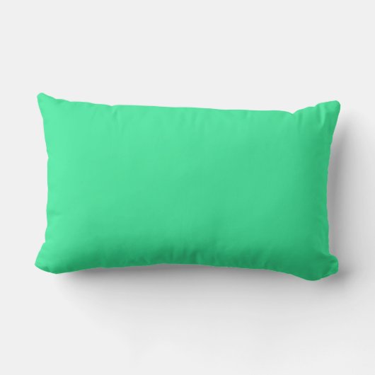 Nieuwe Mint Green Solid Lumbar Pillow Gift Kussen (Achterkant)