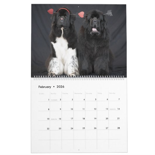 Nieuwe Mode Kalender (Feb 2026)