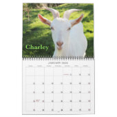 Nieuwe Moon Boerderij Goat Rescue & Sanctuary 2016 Kalender (Jan 2026)