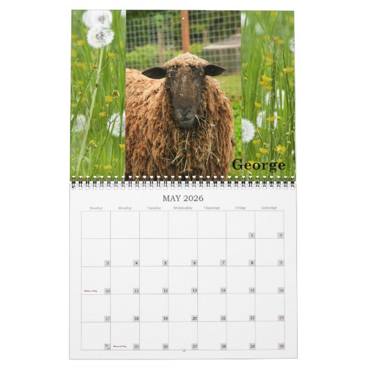 Nieuwe Moon Boerderij Goat Rescue & Sanctuary 2016 Kalender (Mei 2026)