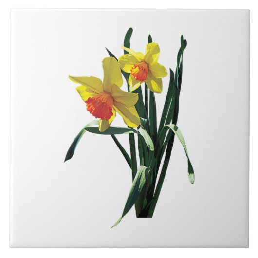 Nieuwe Narcissen Tegeltje (Voorkant)