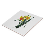 Nieuwe Narcissen Tegeltje (Zijkant)