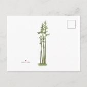 Nieuwe nek van de aankondiging van de Bossen Mount (Achterkant)