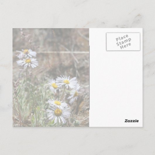 Nieuwe ogen briefkaart (Achterkant)