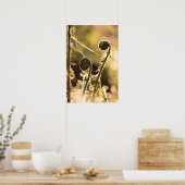 Nieuwe ontrollen bracken schijfjes in het voorjaar poster (Keuken)